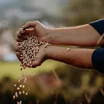 Babel's Auszeit דירה פפרונטן
