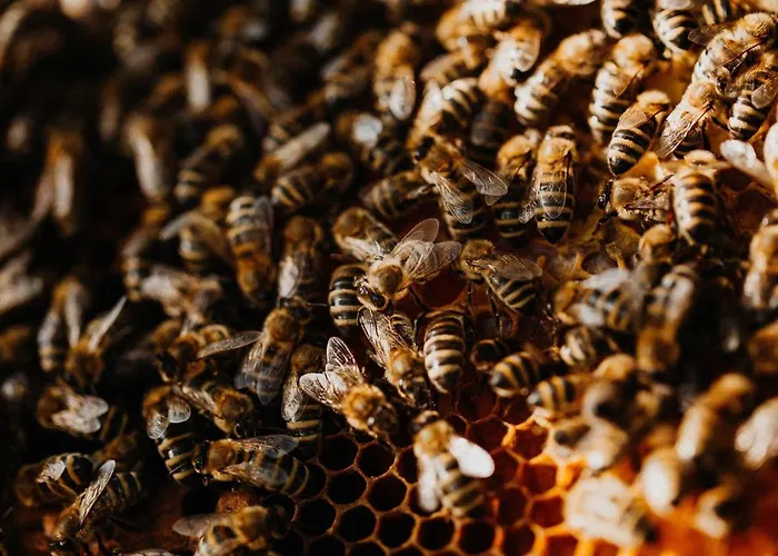 شقة Babel's Auszeit