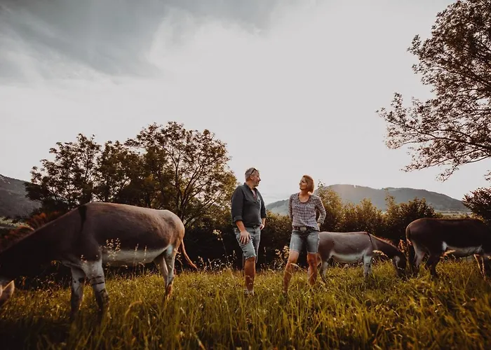 شقة Babel's Auszeit *