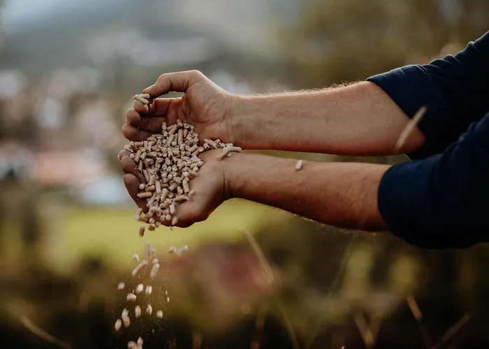 Babel's Auszeit شقة بفرونتن
